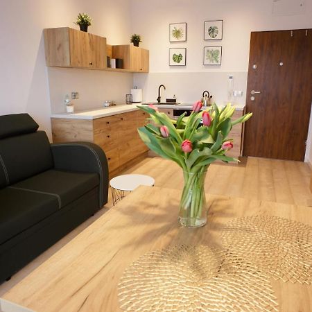 Apartament Na Piernikowym Z Miejscem Postojowym Stary Toruń المظهر الخارجي الصورة